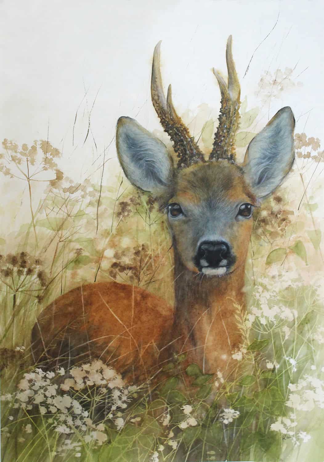 Roebuck Helen Welsh