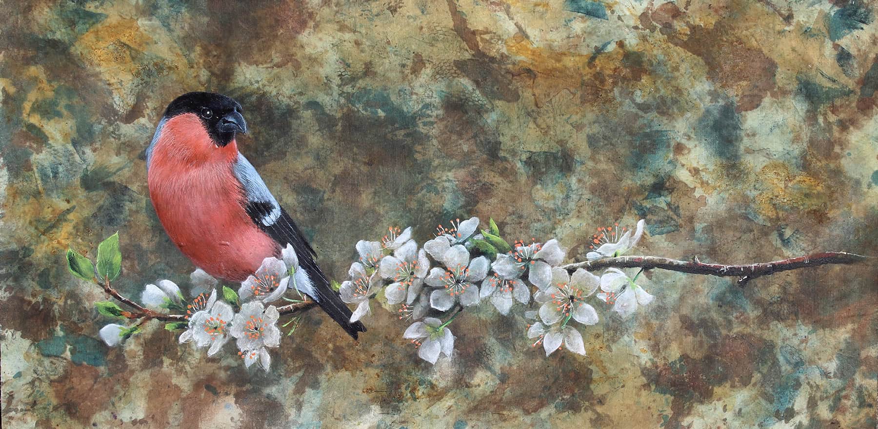 Bullfinch on Blossom Helen Welsh