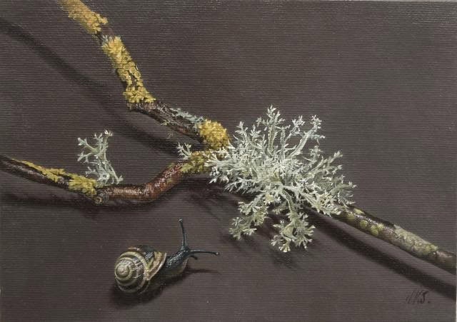 Lichen & Snail I Lorna Kirkwood-Smith