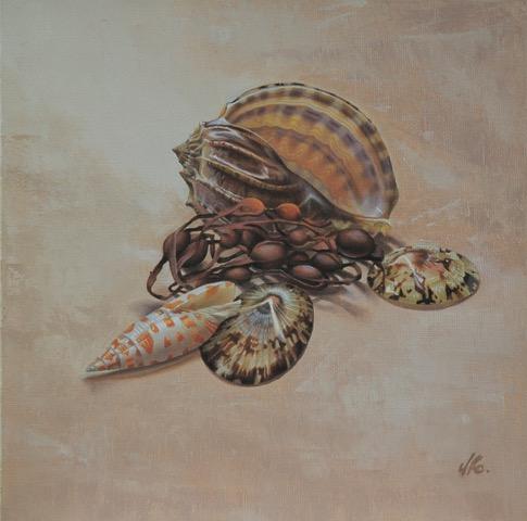 Shells (Orange & Brown) Lorna Kirkwood-Smith