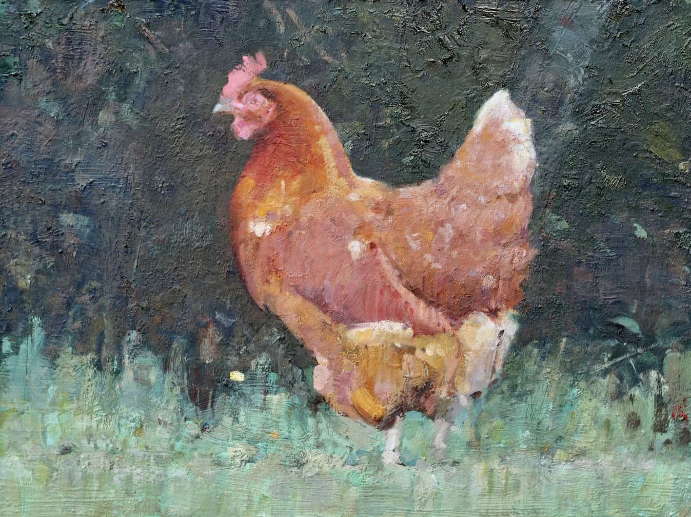 French Hen Martin Hill