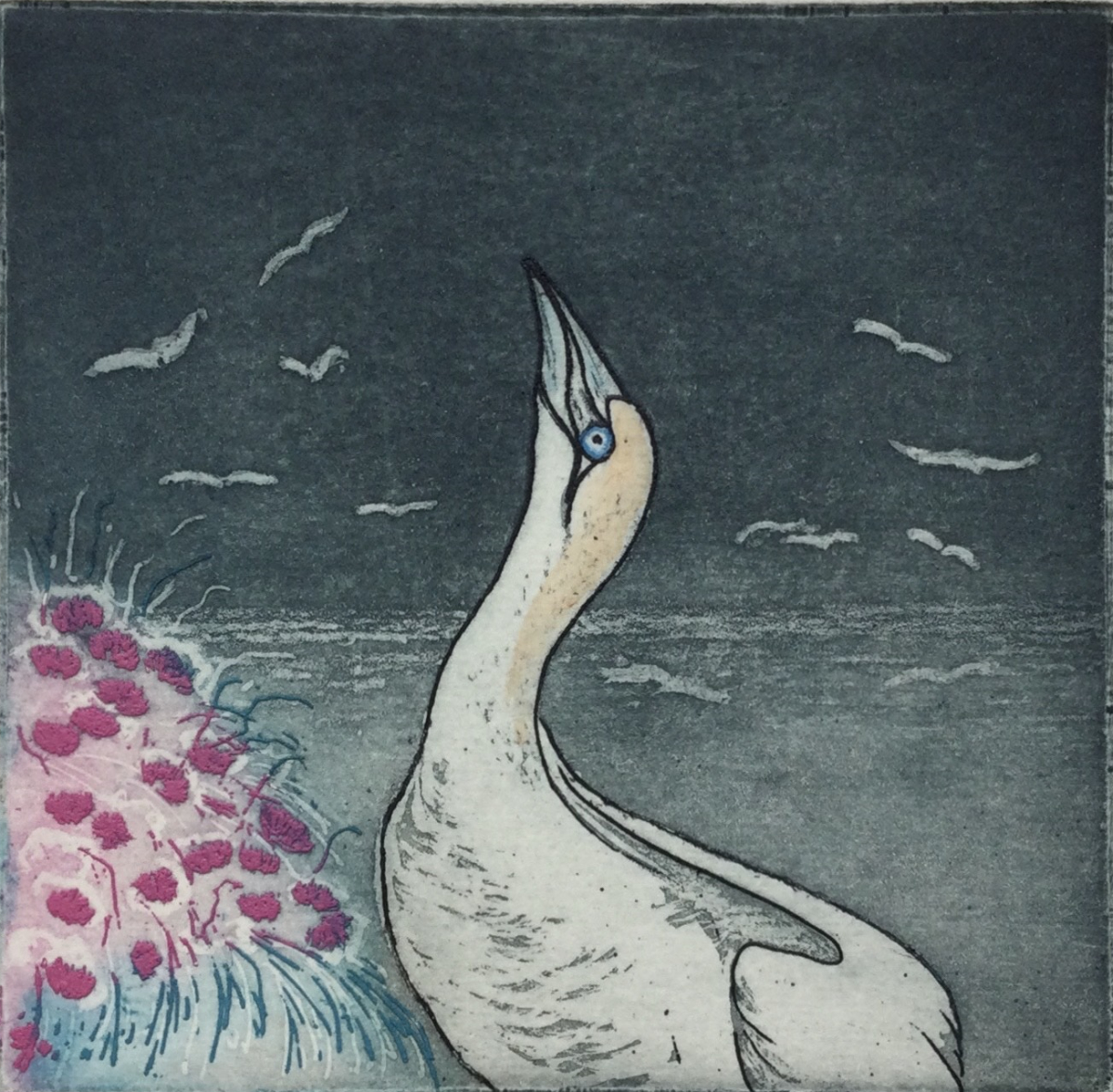 Solan Goose Anne Russell