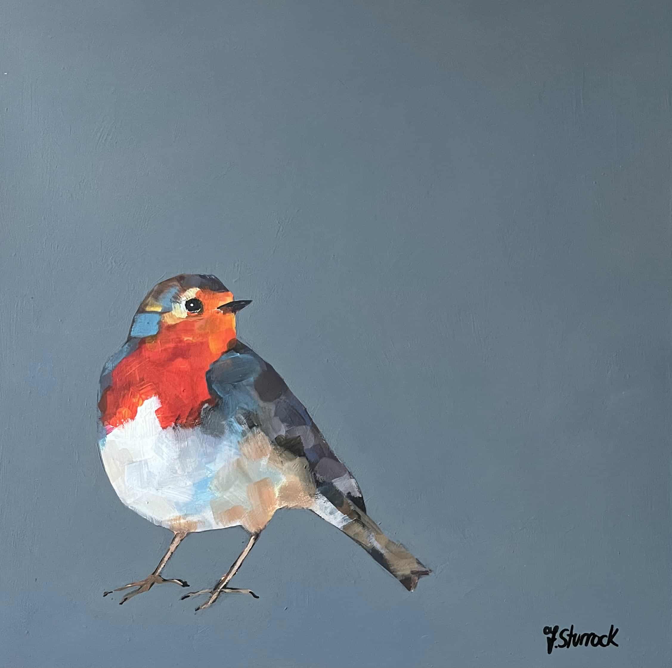 Robin Fiona Sturrock