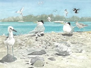 Birds on the Lagoon Shore, Aldabra John Busby RSA RSW SWLA (1928-2015)