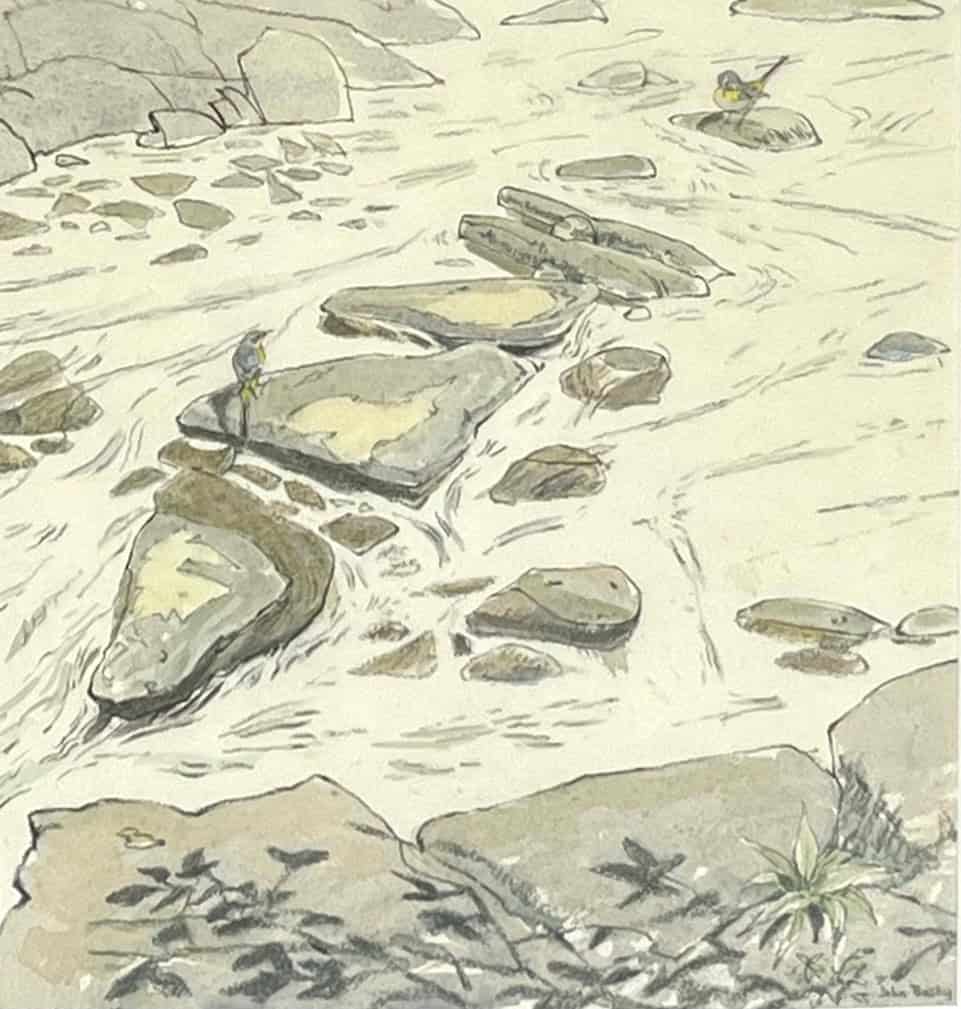 Grey Wagtails, Bolton Abbey John Busby RSA RSW SWLA (1928-2015)