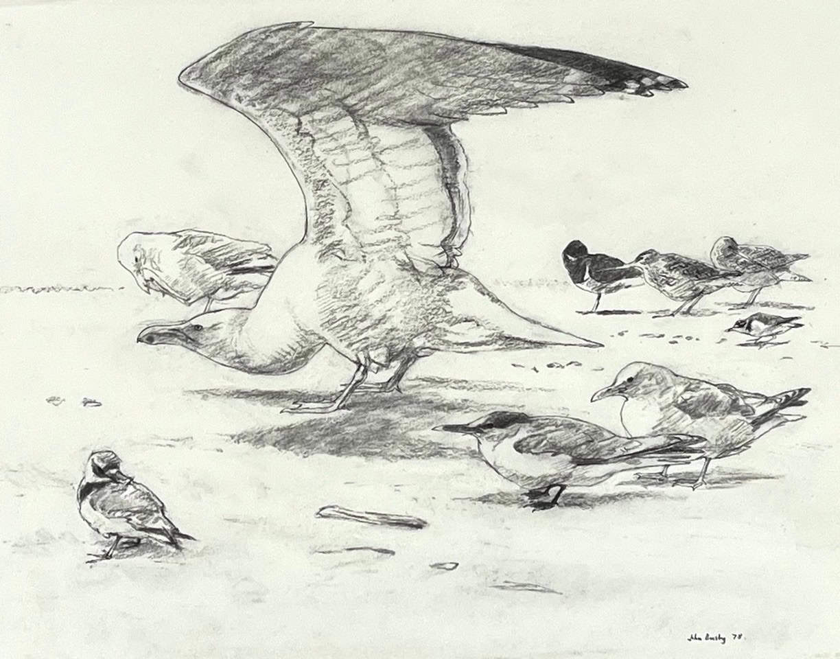 Stretching Gull & Other Birds John Busby RSA RSW SWLA (1928-2015)